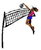 image map of volleyball